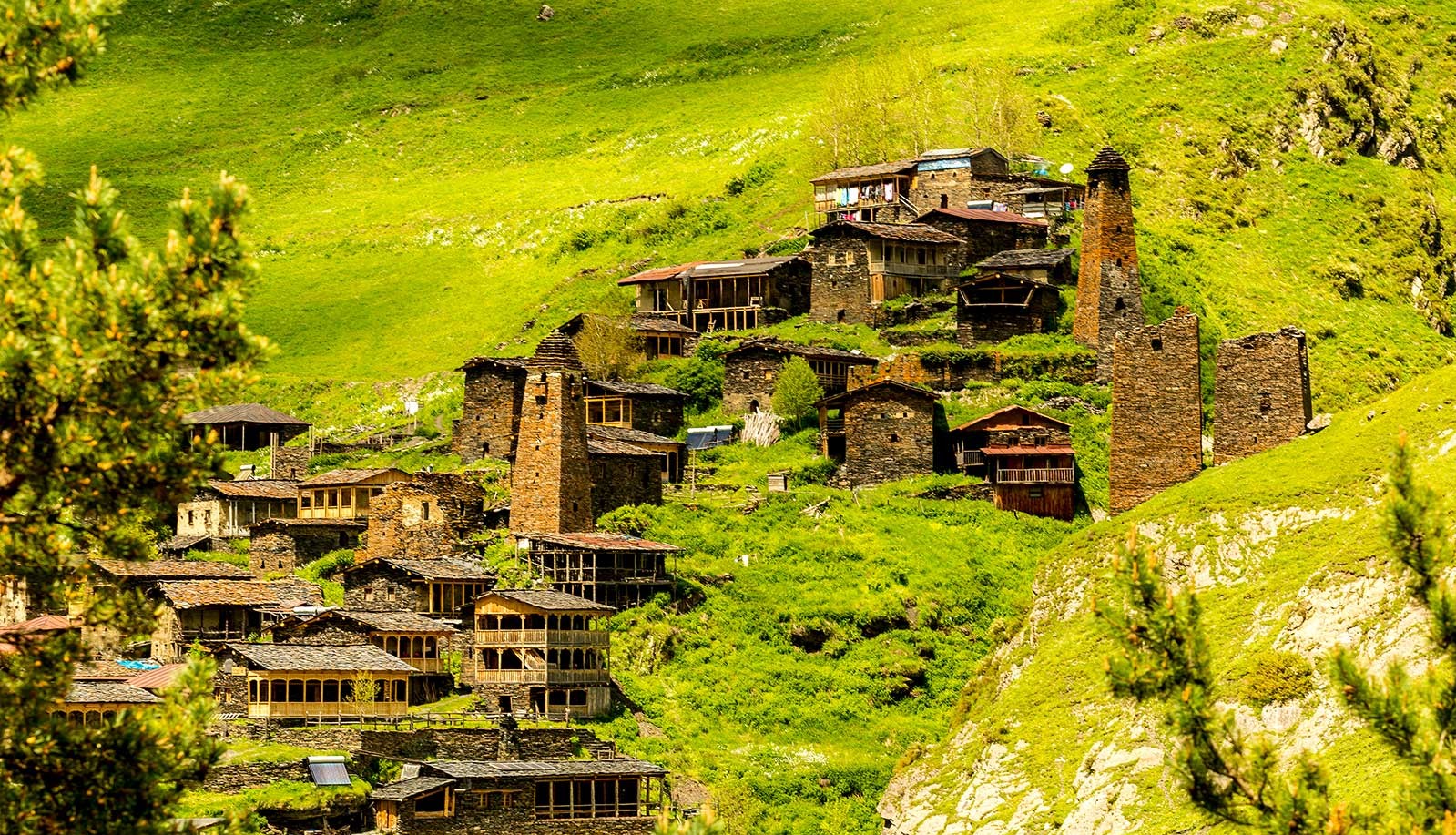 پارک ملی توشتی