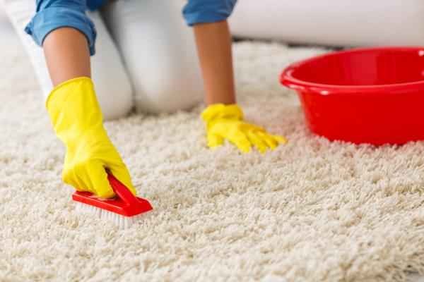 2 روش آسان برای پاک کردن لکه خردل از فرش و موکت