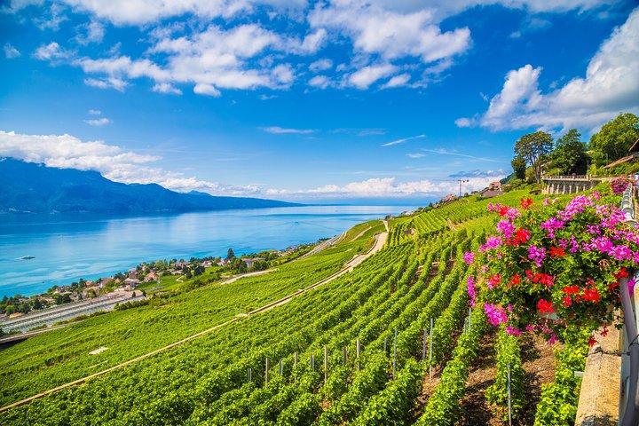 جاهای دیدنی سوئیس و طبیعت سحرانگیزش
