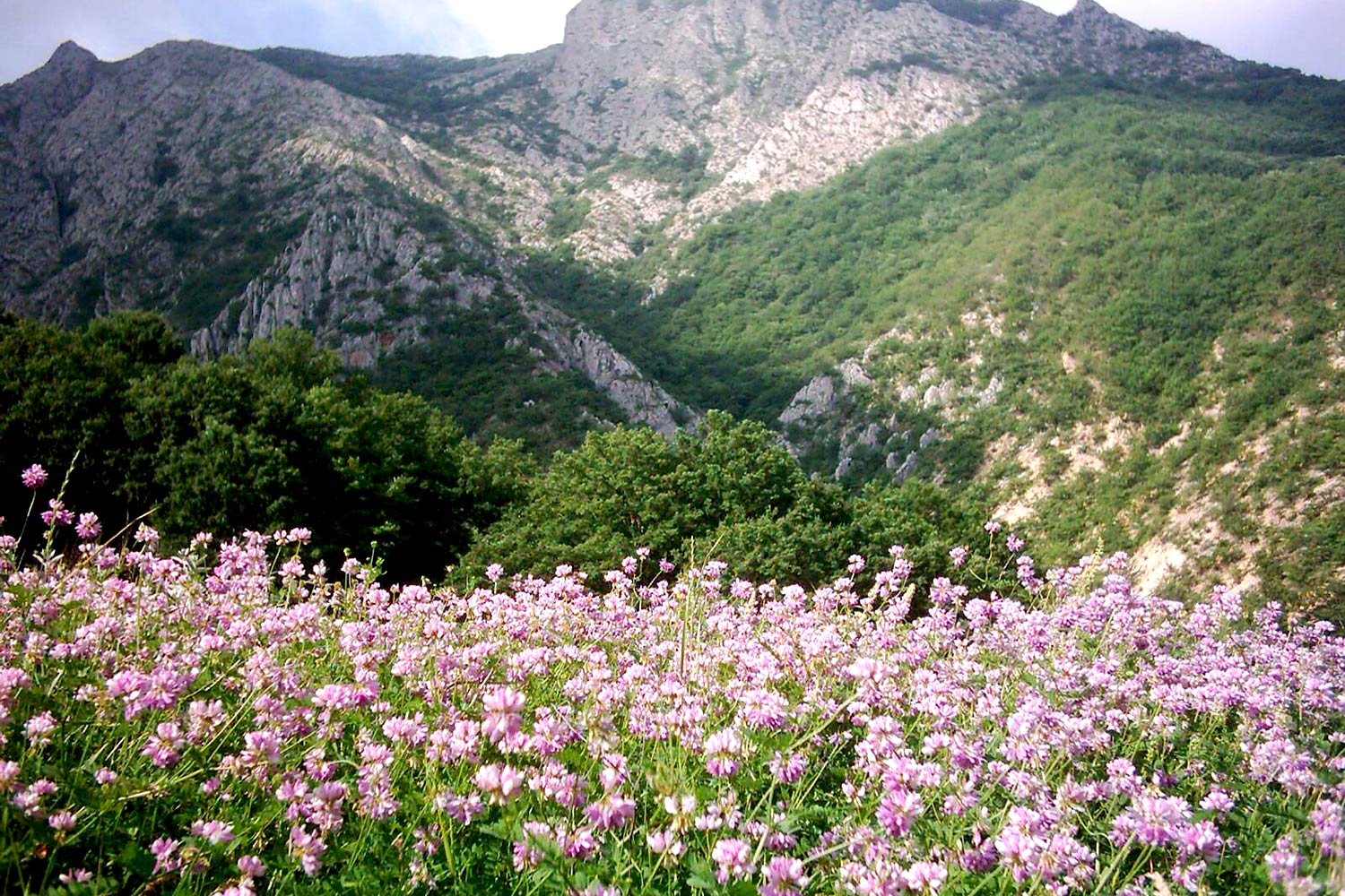 روستای توریستی درکش