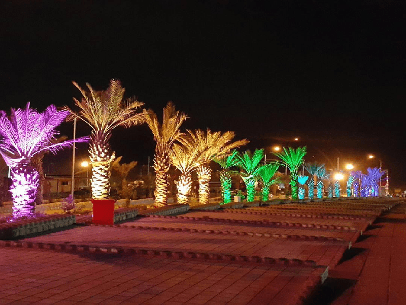 بام شیراز