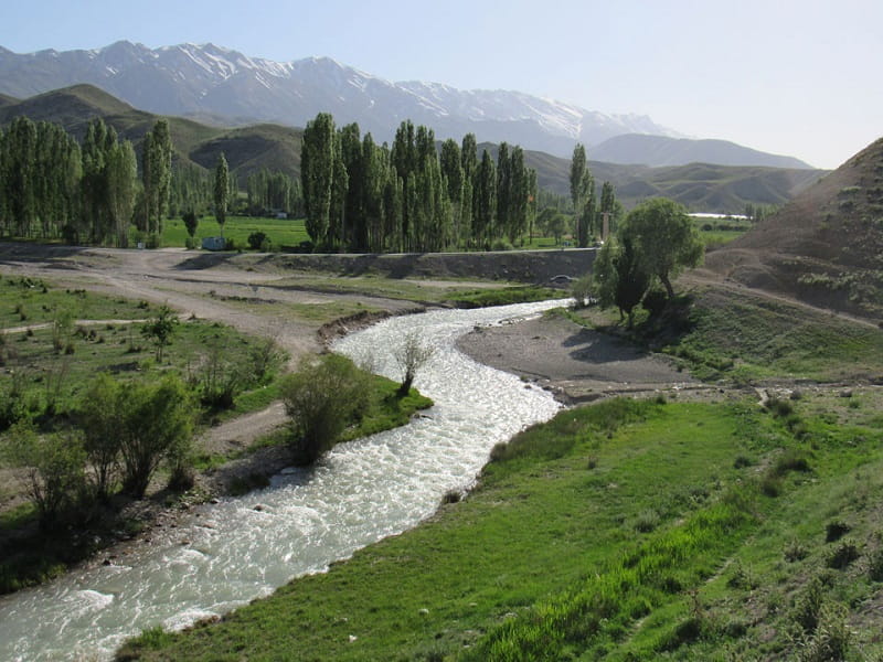 روستای سله بن