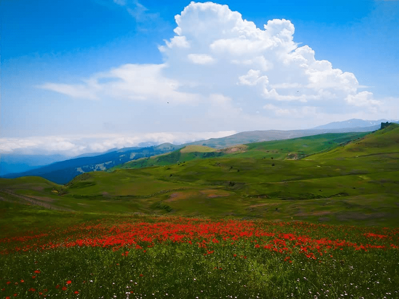 شکردشت تالش