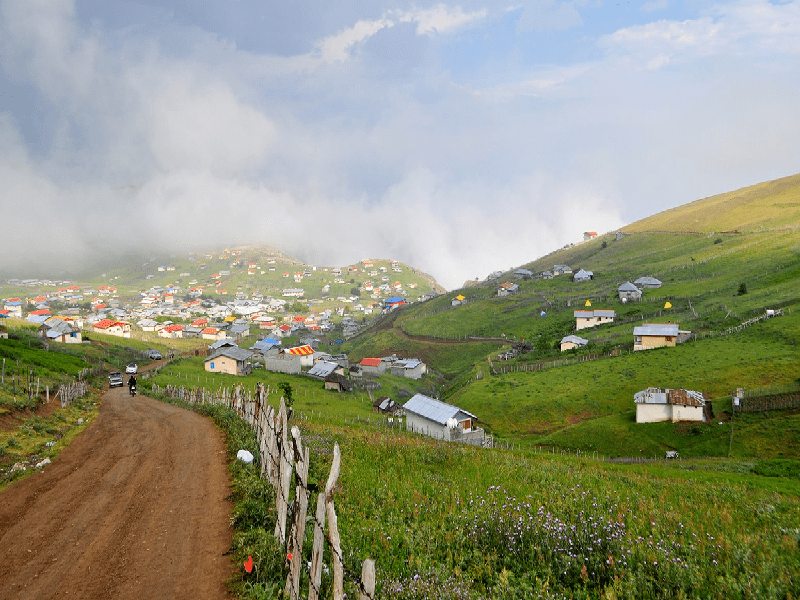 شکردشت تالش