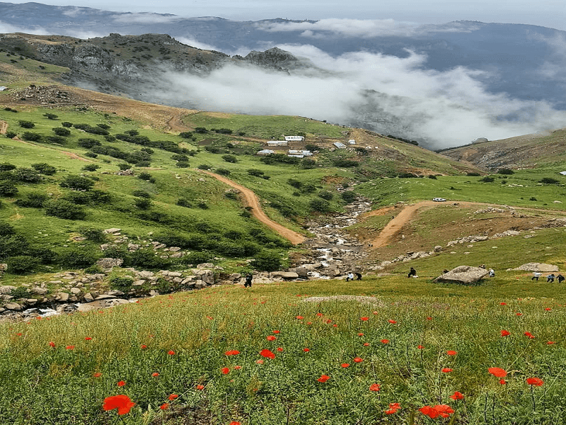 شکردشت تالش