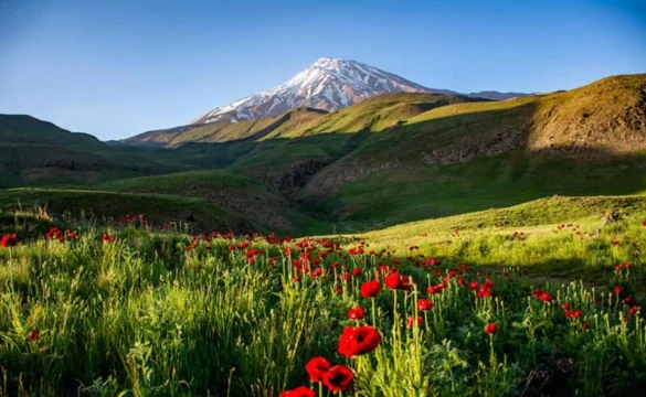 دشت لار